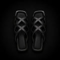 The Aurelia Slides Noir